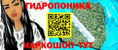 эйфоретик Дубна